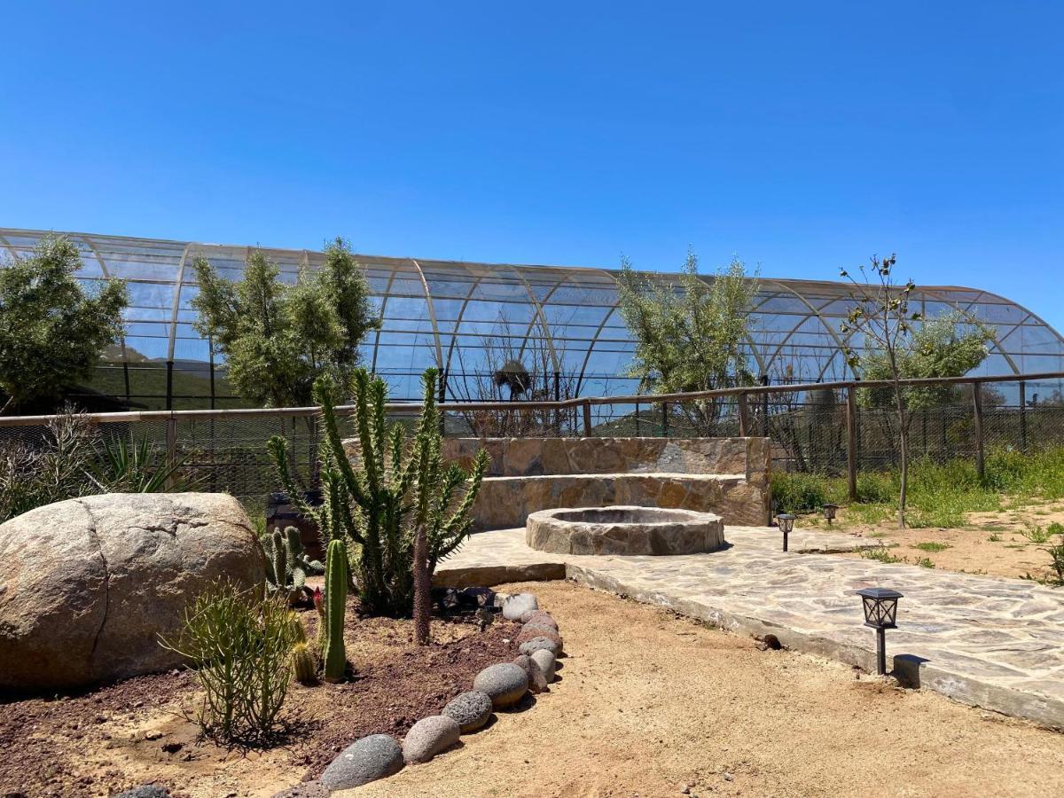 Coquenas Del Valle Valle de Guadalupe Dış mekan fotoğraf