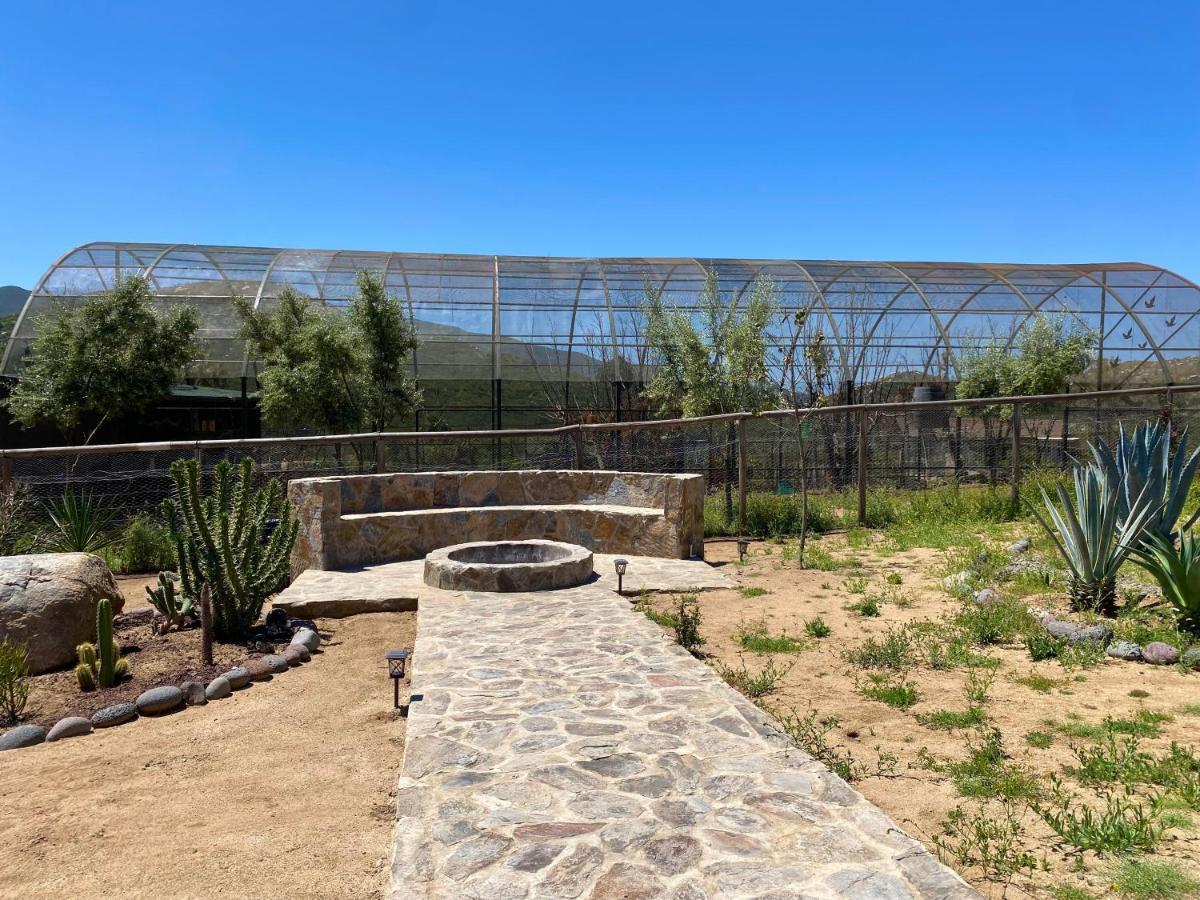 Coquenas Del Valle Valle de Guadalupe Dış mekan fotoğraf
