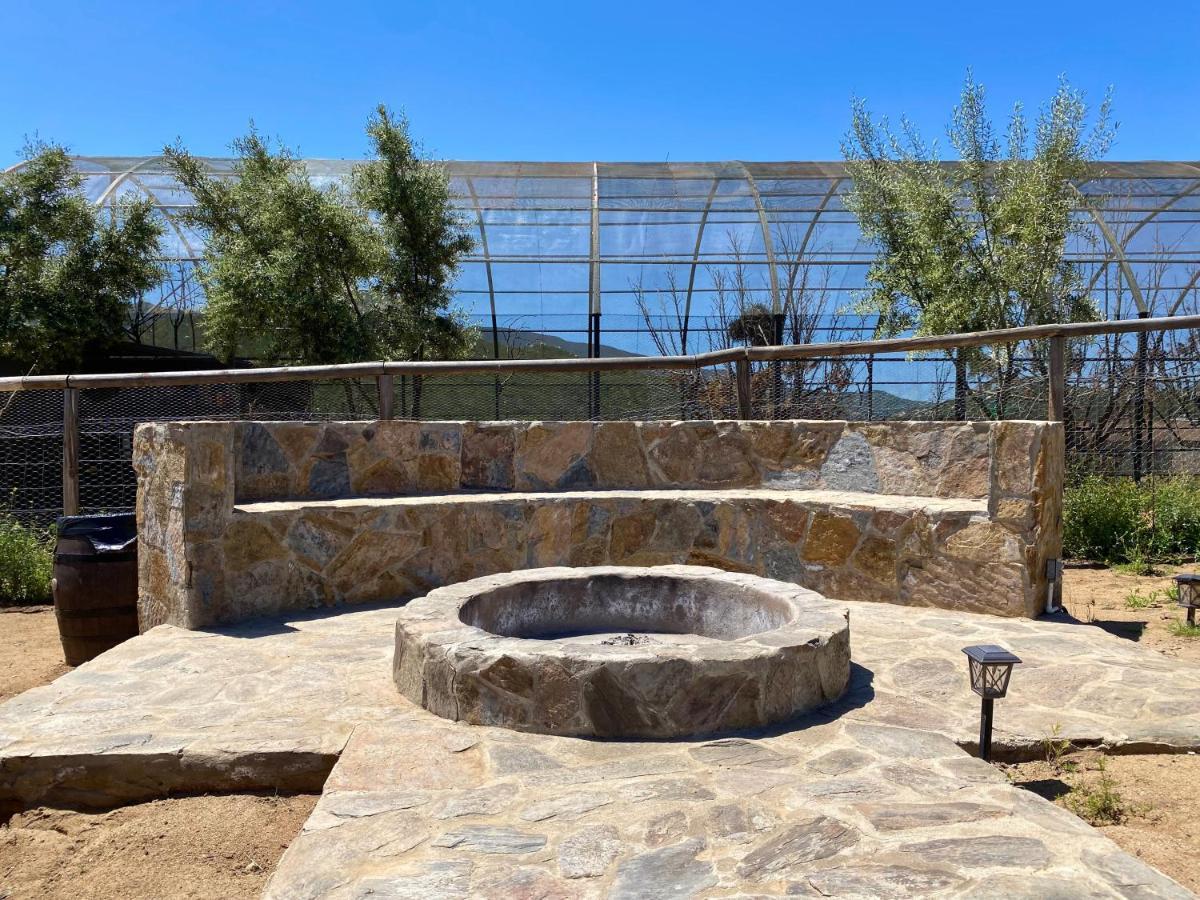 Coquenas Del Valle Valle de Guadalupe Dış mekan fotoğraf